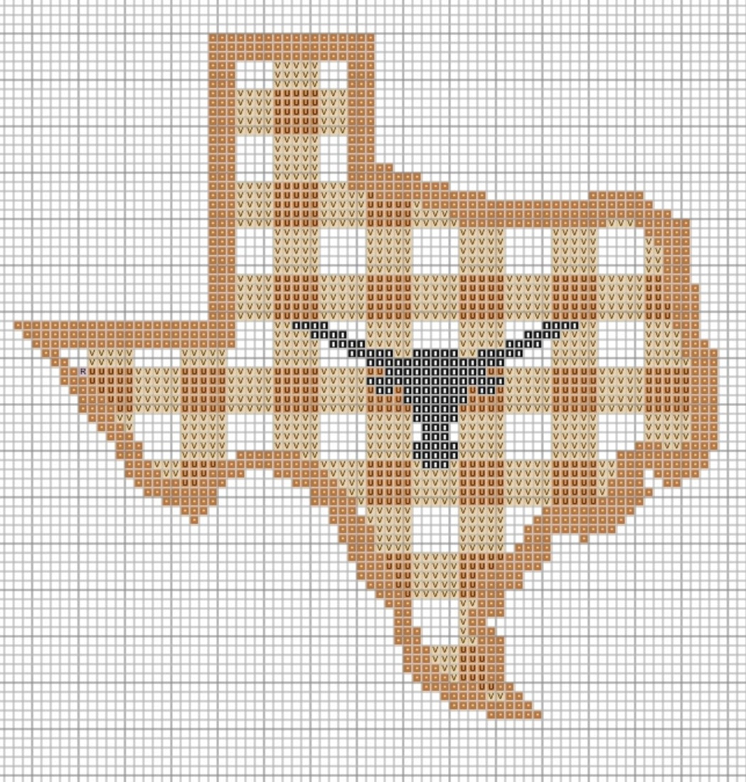 UT Gingham Texas