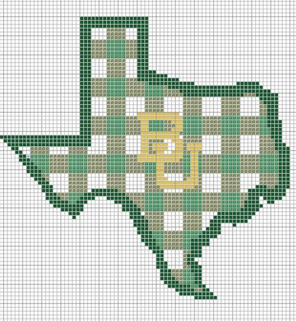 Baylor Gingham Texas