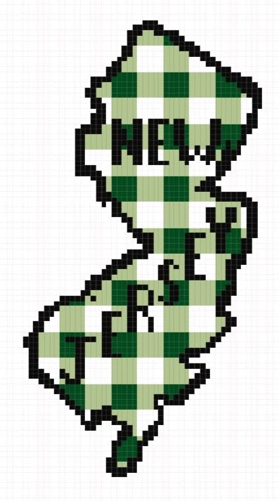 Gingham New Jersey - Green